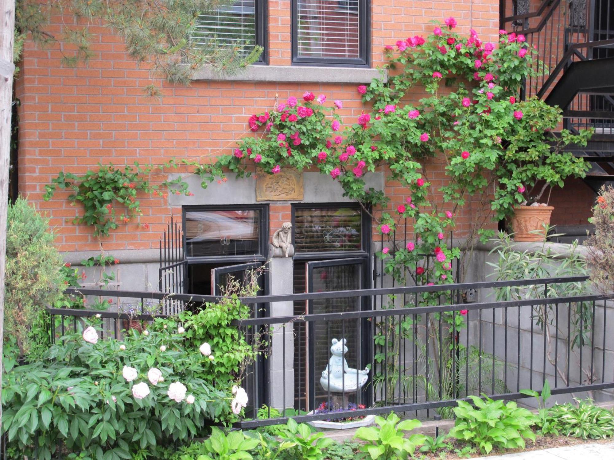 Ferienwohnung A Gem Downtown Montréal Exterior foto